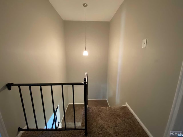 stairway featuring carpet flooring