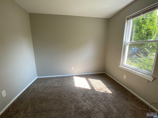 unfurnished room with carpet and a wealth of natural light