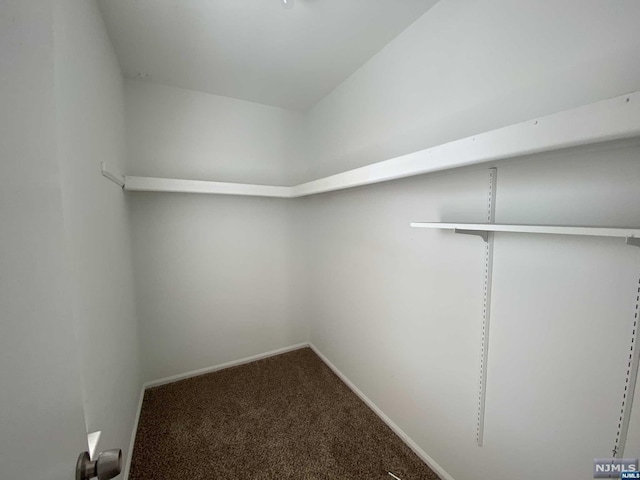 walk in closet featuring carpet