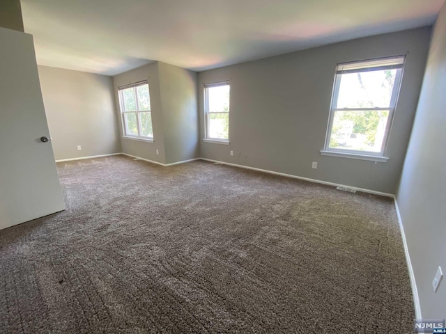 carpeted empty room with a healthy amount of sunlight