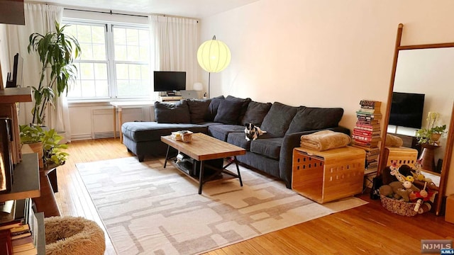 living room with light wood-type flooring