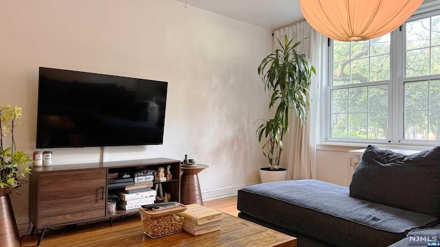 living room featuring hardwood / wood-style flooring