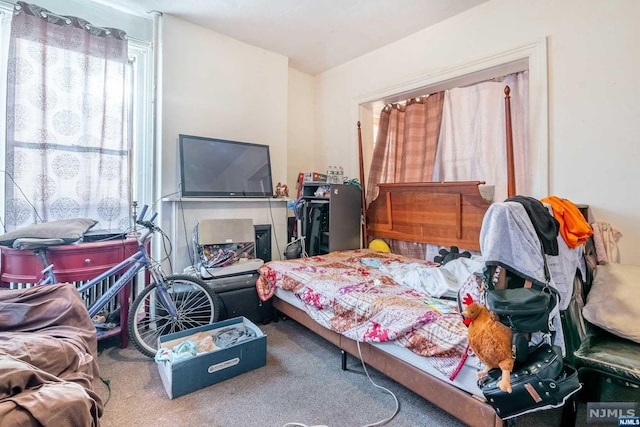 bedroom featuring carpet flooring