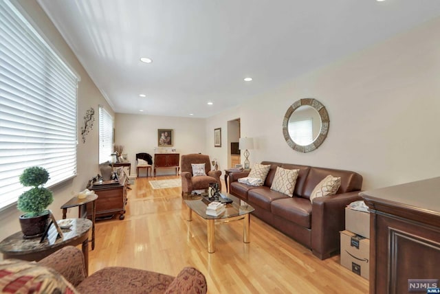 living room with light hardwood / wood-style flooring