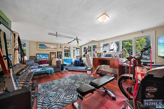 workout room featuring hardwood / wood-style floors and lofted ceiling