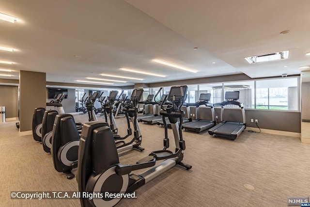 exercise room featuring light colored carpet