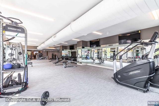 gym featuring carpet floors