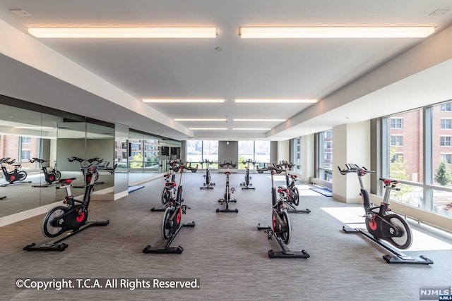 exercise room featuring carpet flooring and a wealth of natural light