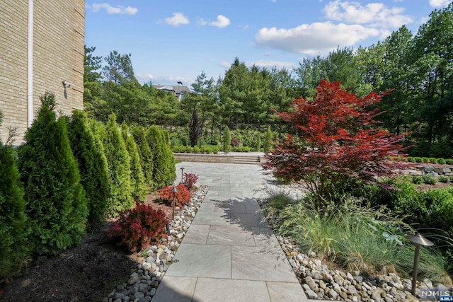 view of yard with a patio