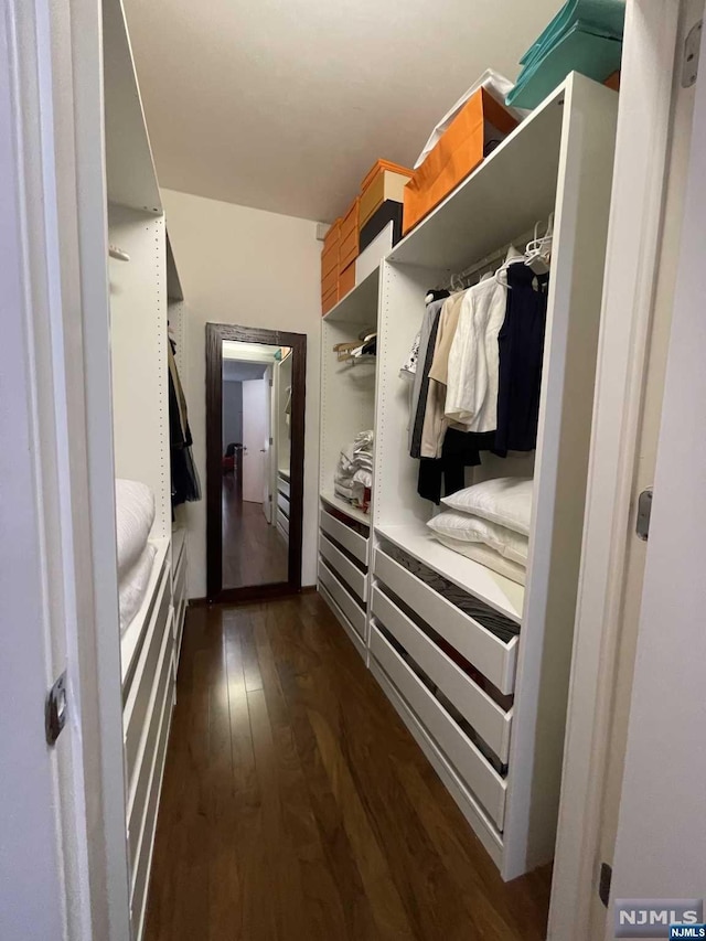 mudroom with dark wood-type flooring