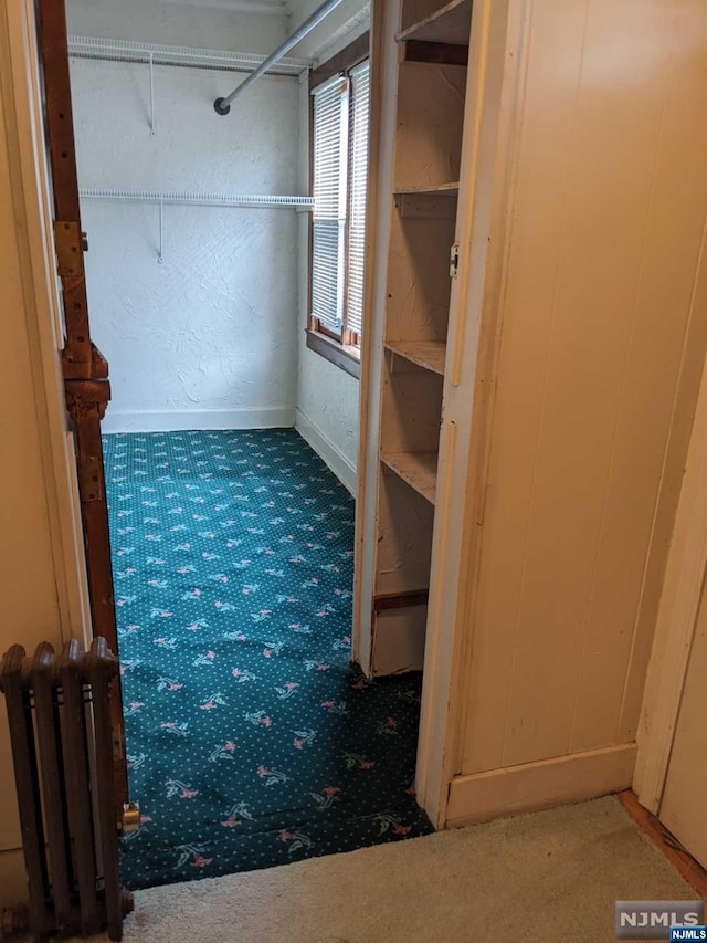 walk in closet with carpet floors and radiator