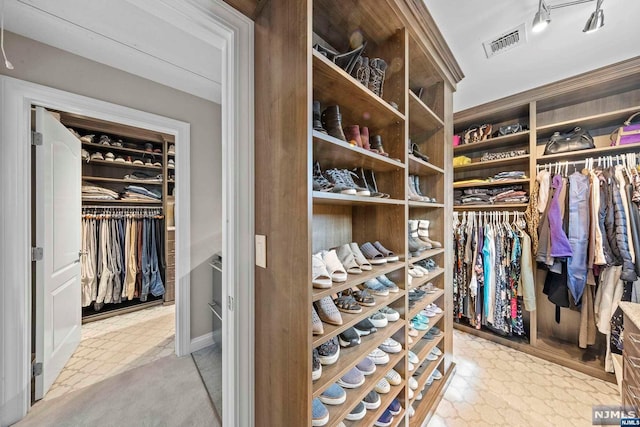 view of walk in closet