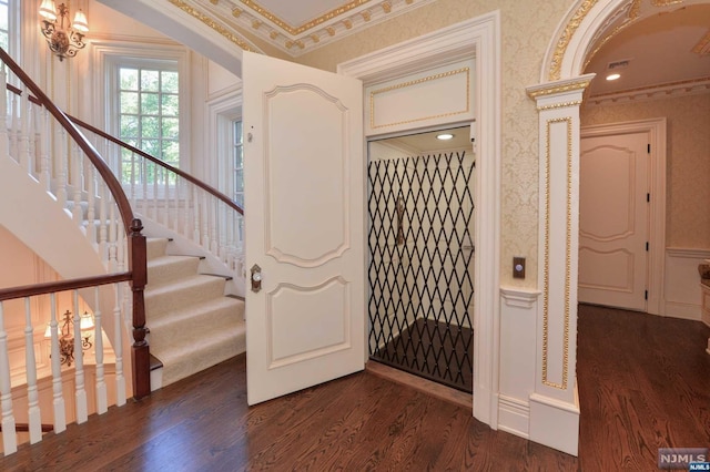 foyer featuring crown molding and dark hardwood / wood-style flooring