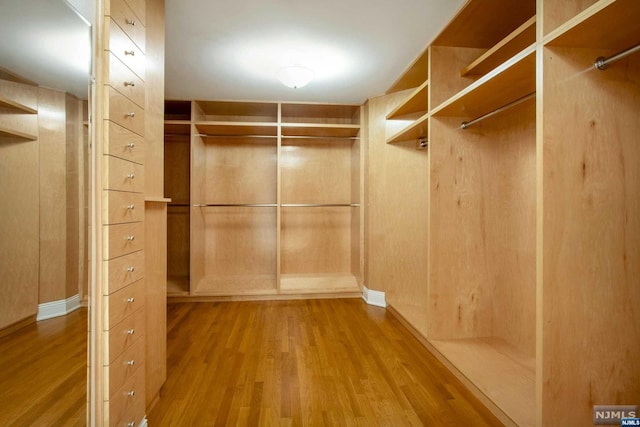 spacious closet featuring hardwood / wood-style flooring