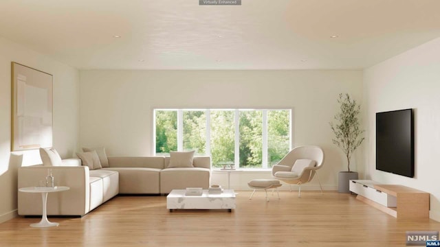 living room featuring light hardwood / wood-style flooring