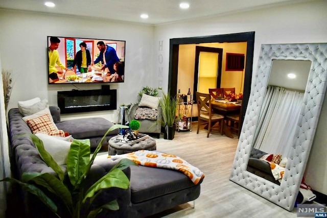 living room featuring crown molding and light hardwood / wood-style flooring