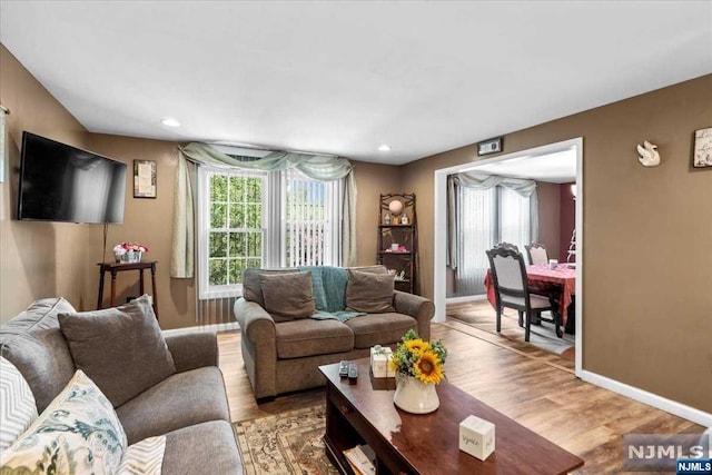 living room with light hardwood / wood-style flooring and a healthy amount of sunlight