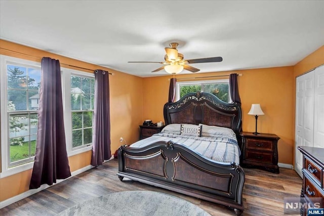 bedroom with ceiling fan, dark hardwood / wood-style flooring, and a closet