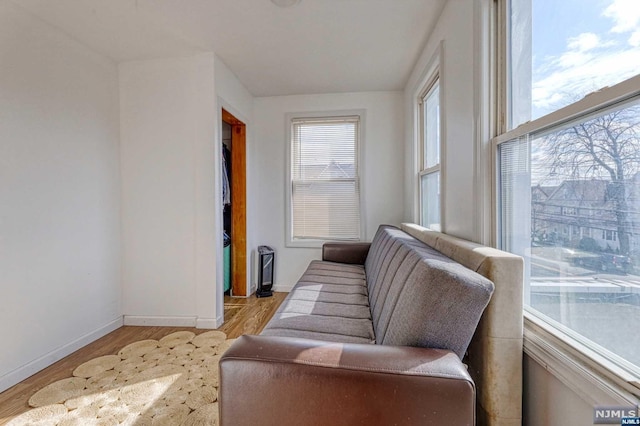 living area with light hardwood / wood-style flooring