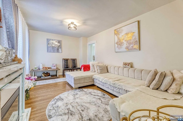 living room featuring light wood-type flooring