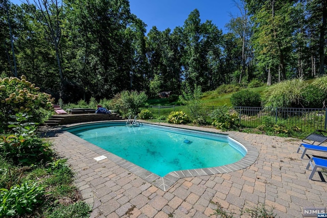 view of swimming pool featuring a patio