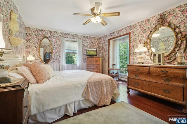 bedroom featuring multiple windows, ceiling fan, and dark hardwood / wood-style floors