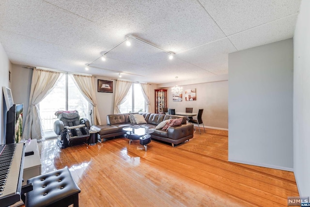 living room with rail lighting and wood-type flooring