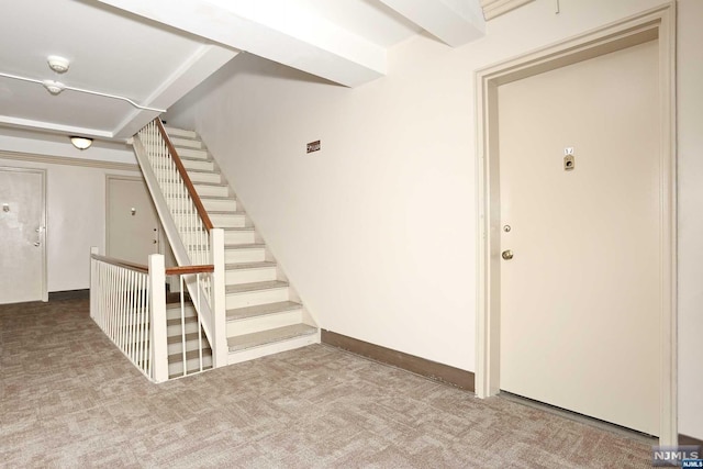 basement featuring light carpet