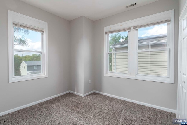 carpeted spare room featuring a wealth of natural light