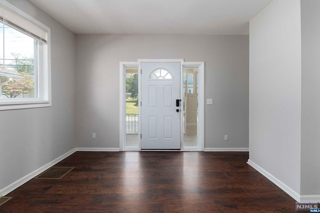 entrance foyer featuring dark hardwood / wood-style flooring and a healthy amount of sunlight