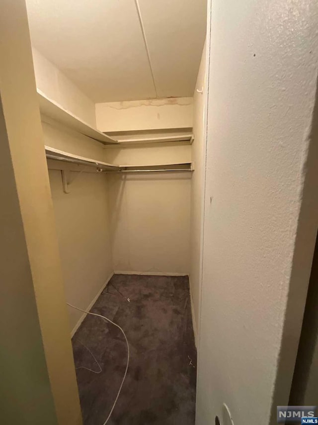 walk in closet featuring carpet floors