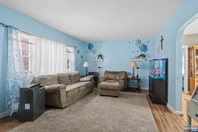 living room featuring light hardwood / wood-style floors