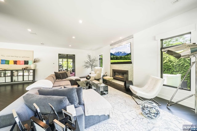 living room featuring dark hardwood / wood-style flooring