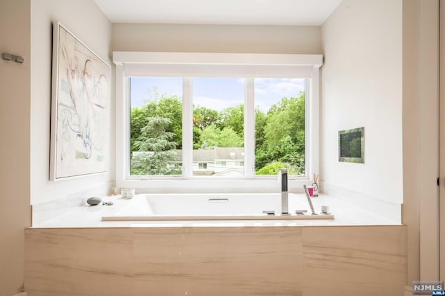 bathroom featuring a bathtub