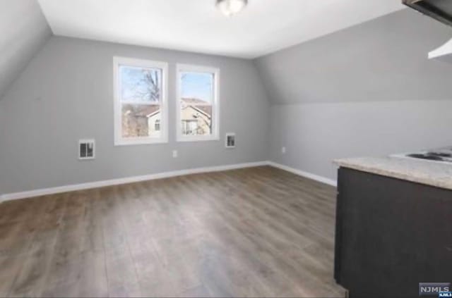 additional living space featuring wood-type flooring and lofted ceiling