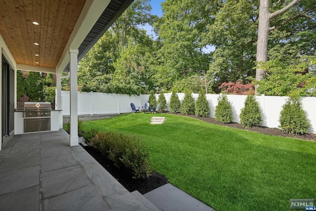 view of yard with exterior kitchen