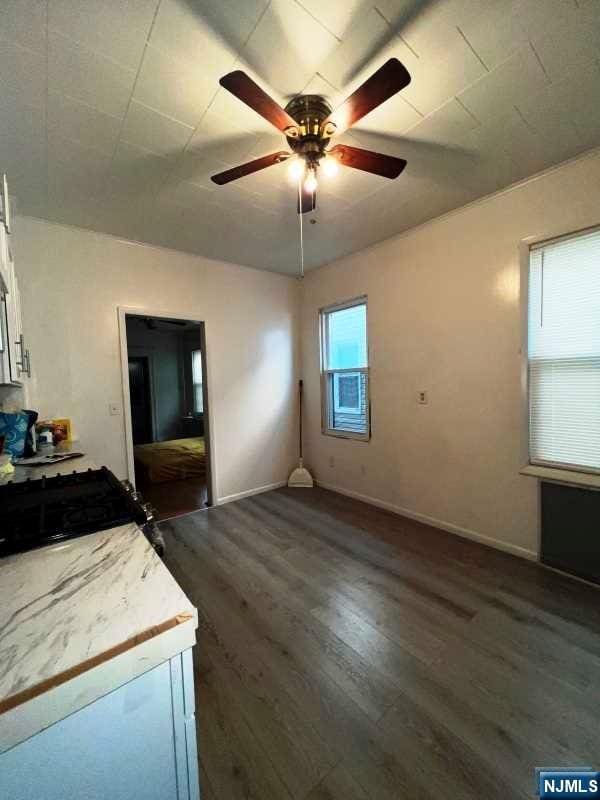 kitchen with white cabinets, dark hardwood / wood-style floors, and ceiling fan