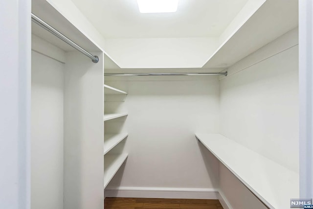 walk in closet with dark hardwood / wood-style floors