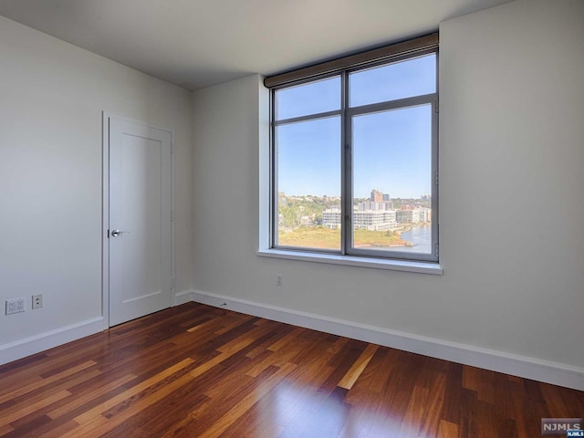 unfurnished room featuring dark wood-type flooring