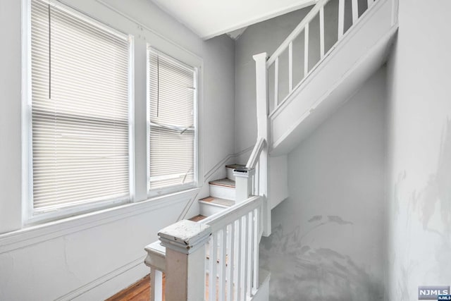 staircase with hardwood / wood-style floors