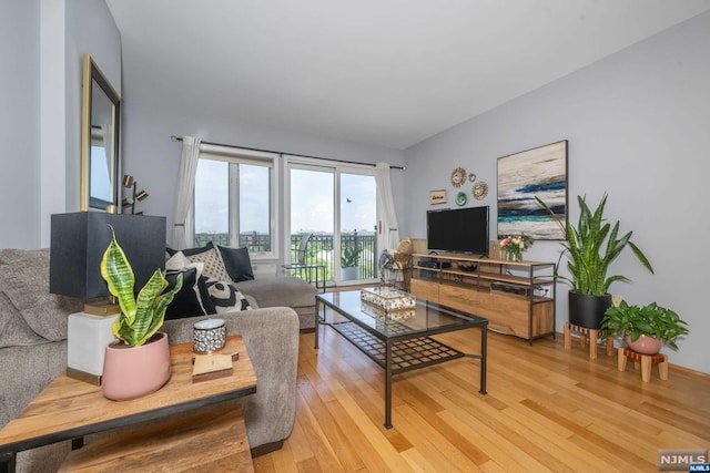 living room with wood-type flooring