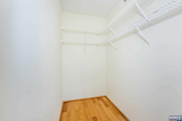 walk in closet with wood-type flooring