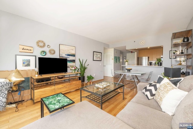 living room with wood-type flooring