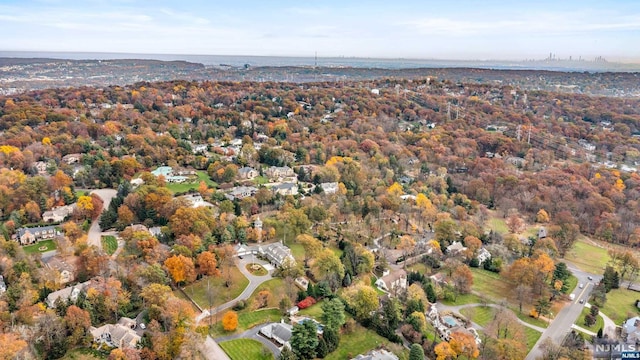 bird's eye view