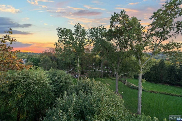 view of nature at dusk