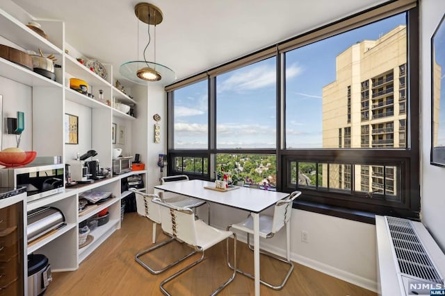 office featuring wood-type flooring