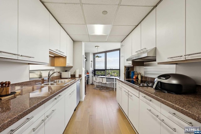 kitchen featuring black electric stovetop, a paneled ceiling, dishwasher, white cabinets, and light hardwood / wood-style floors