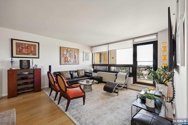 living room featuring wood-type flooring