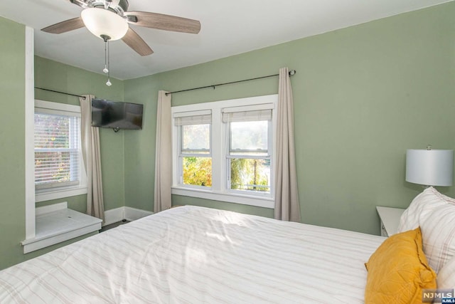 bedroom with ceiling fan