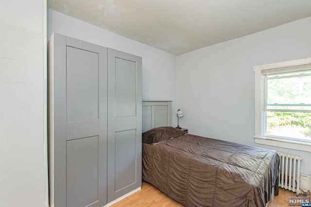 bedroom featuring radiator and light hardwood / wood-style flooring